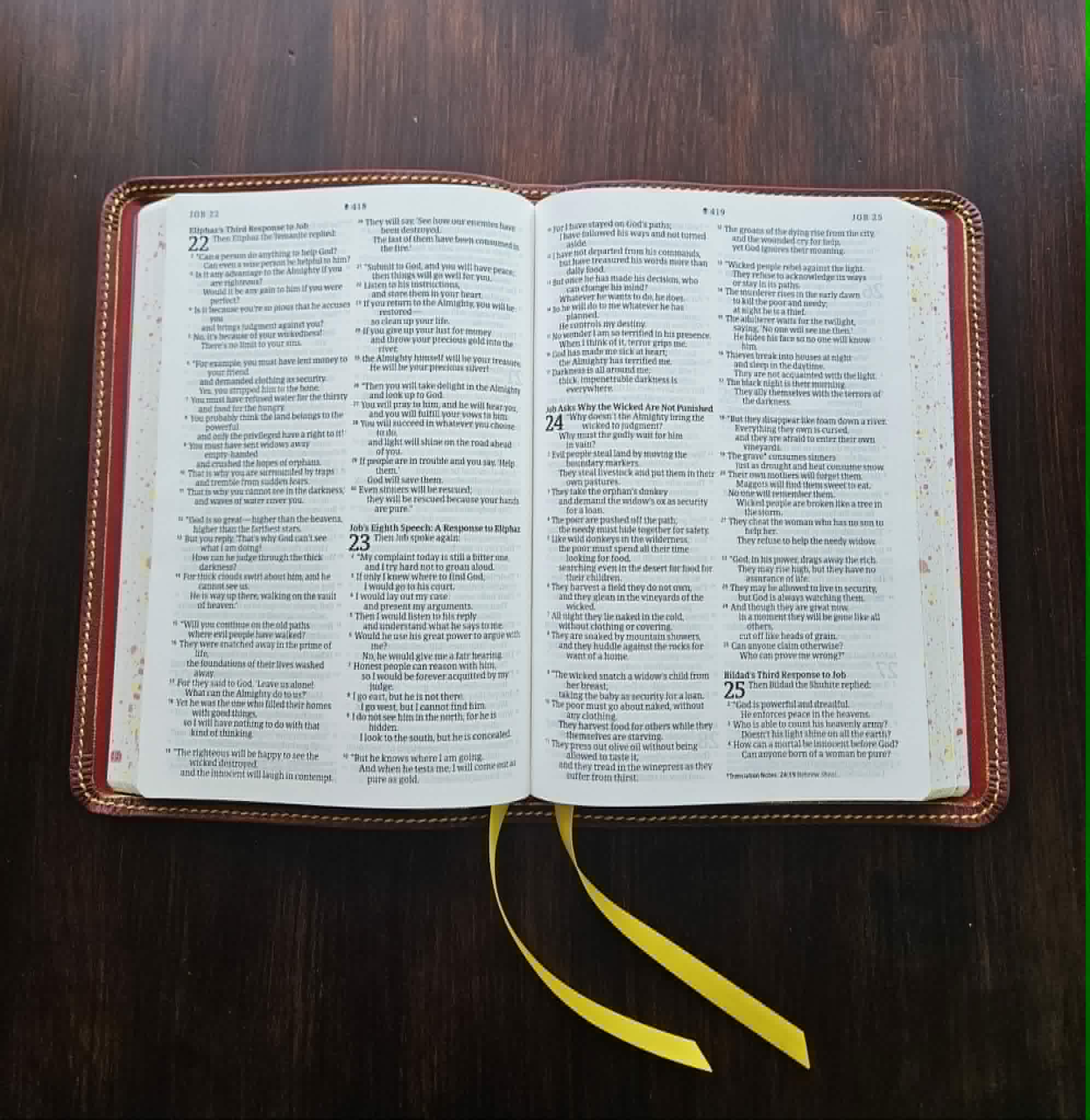 NLT Large Print Premium Value Thinline Bible